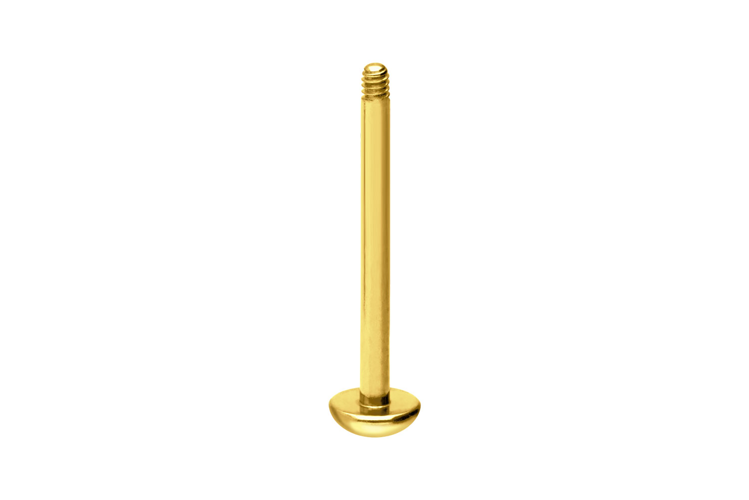 Titan Labret Piercing ohne Kugel ABGERUNDETE PLATTE